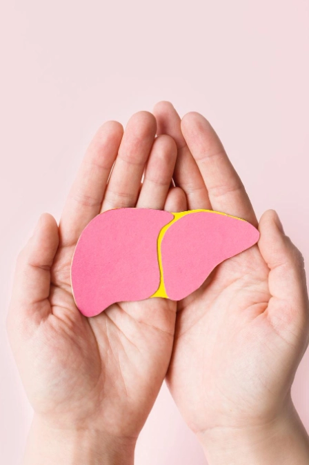 фото печени при гепатите д